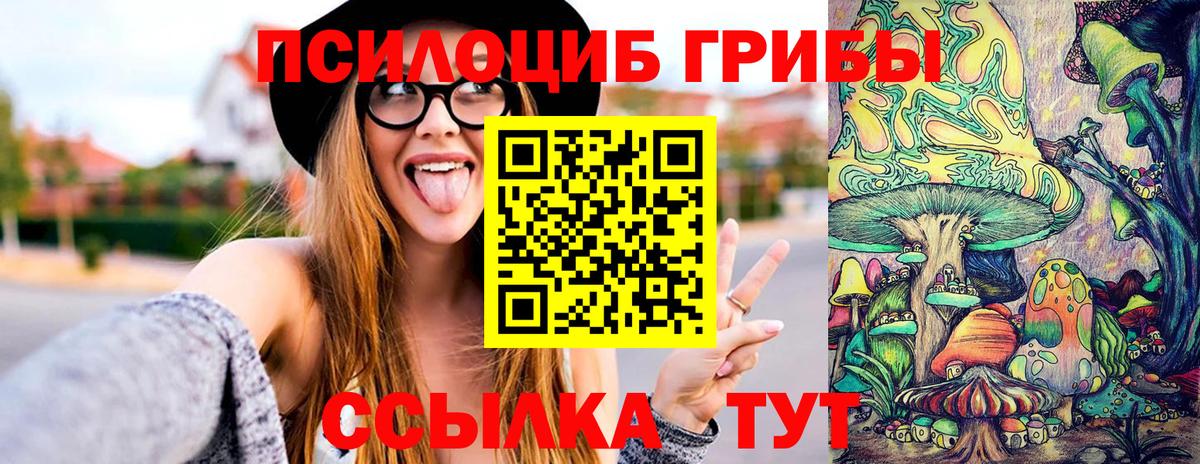 Буйнакск  Галлюциногенные грибы MAGIC MUSHROOMS  Вход с VPN 